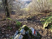 Monte Zucco (1232 m) ad anello in solitaria sui sentieri di casa (Zogno-300 m) 18nov闂????20 - FOTOGALLERY